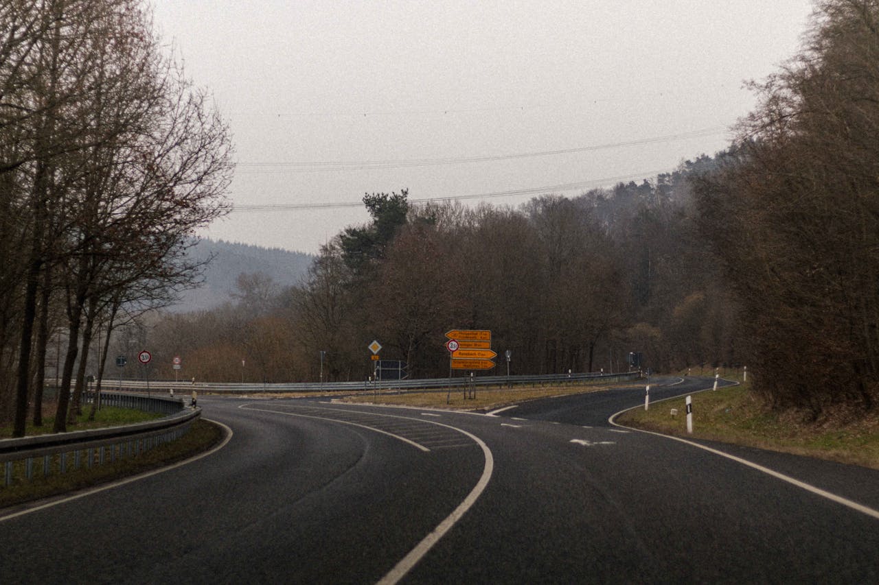 team-01 A serene road curves through a quiet forest under an overcast sky, showcasing natural beauty.